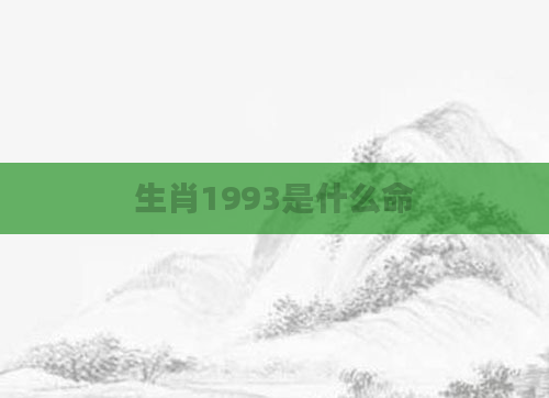 生肖1993是什么命