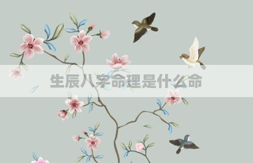 生辰八字命理是什么命