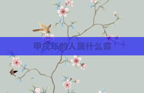 甲戌年的人属什么命