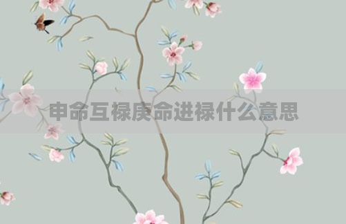 申命互禄庚命进禄什么意思