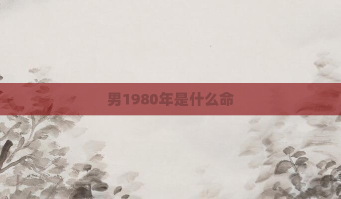 男1980年是什么命