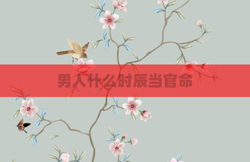 男人什么时辰当官命