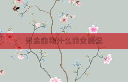 男金命和什么命女最配