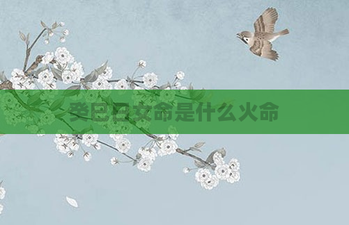 癸巳日女命是什么火命