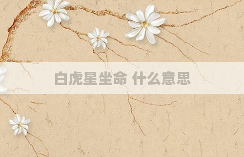 白虎星坐命 什么意思