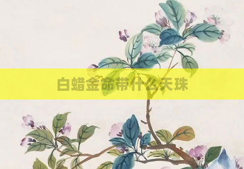 白蜡金命带什么天珠
