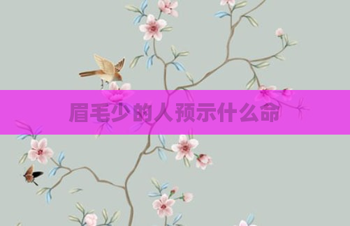 眉毛少的人预示什么命