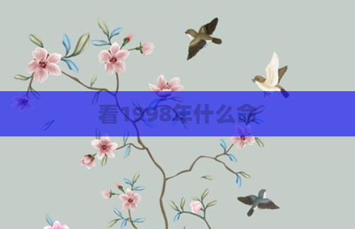 看1998年什么命