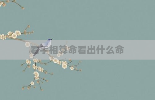 看手相算命看出什么命