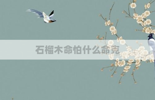 石榴木命怕什么命克