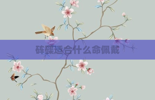 砗磲适合什么命佩戴