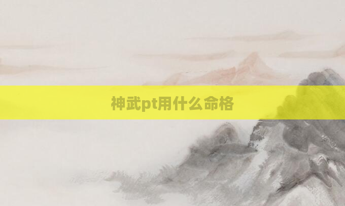 神武pt用什么命格