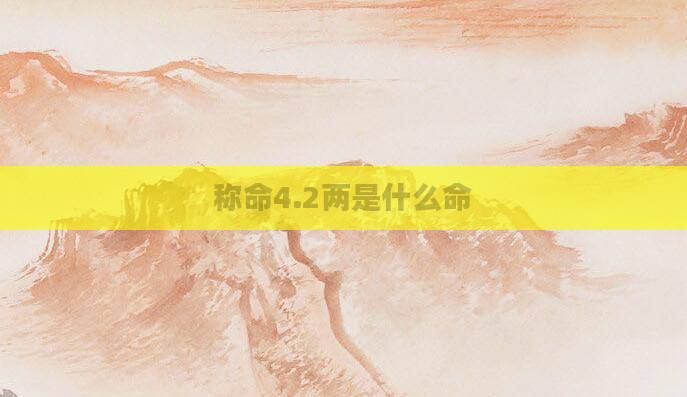 称命4.2两是什么命