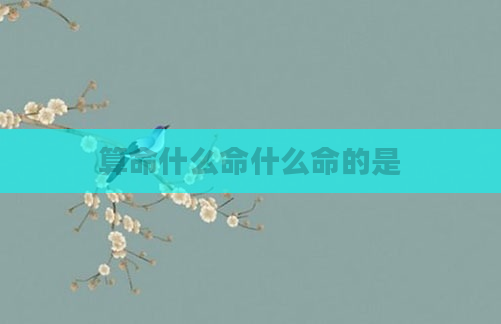 算命什么命什么命的是