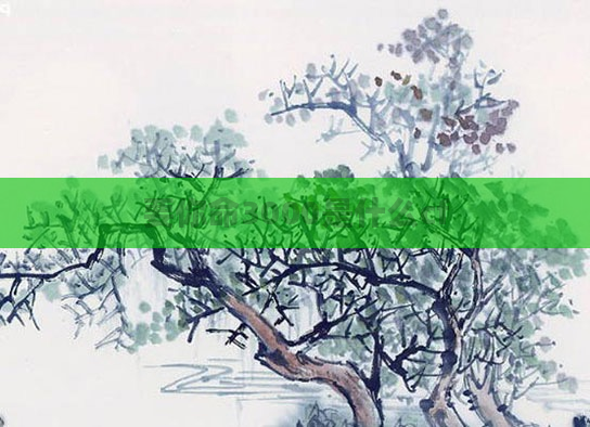 要你命3000是什么cf