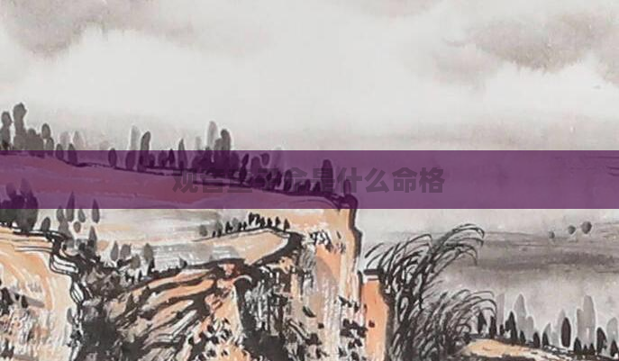 观音童子命是什么命格