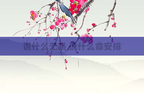 说什么无奈 说什么命安排