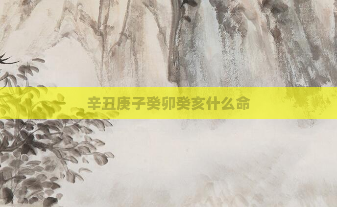 辛丑庚子癸卯癸亥什么命