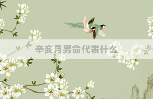 辛亥月男命代表什么