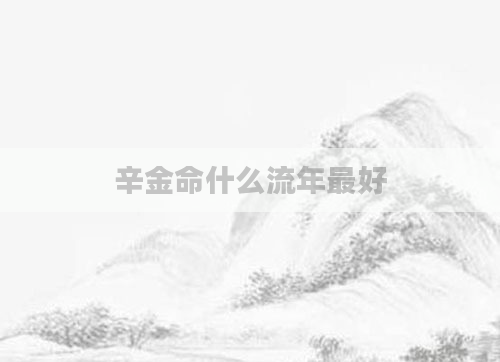 辛金命什么流年最好