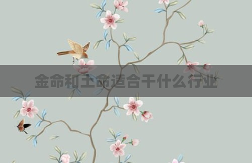 金命和土命适合干什么行业