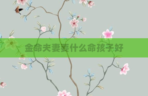 金命夫妻要什么命孩子好
