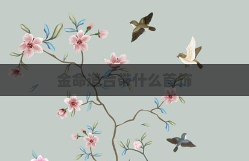 金命适合带什么首饰