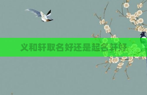 义和轩取名好还是起名轩好