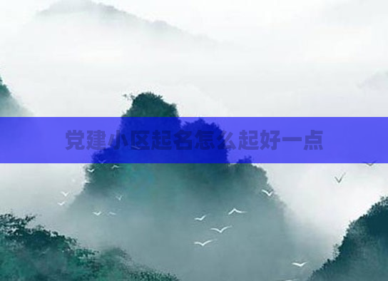 党建小区起名怎么起好一点