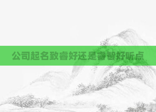 公司起名致睿好还是睿智好听点