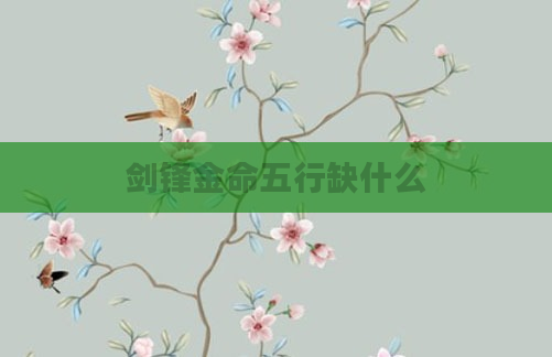 剑锋金命五行缺什么
