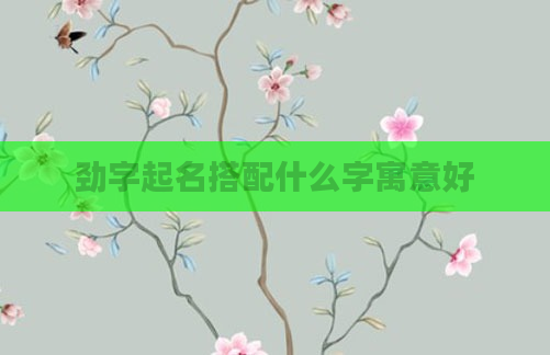 劲字起名搭配什么字寓意好