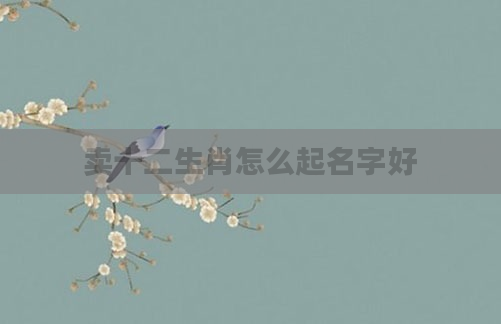 卖十二生肖怎么起名字好