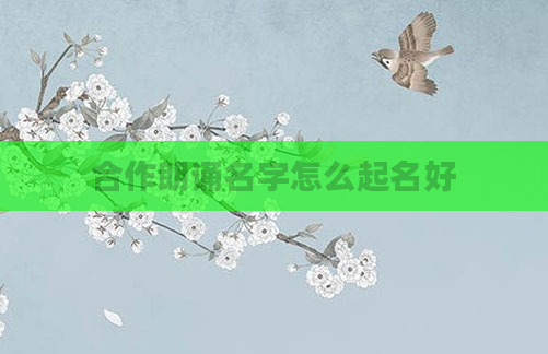 合作朗诵名字怎么起名好