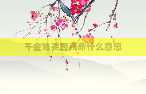 千金难买四两命什么意思