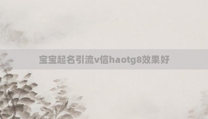 宝宝起名引流v信haotg8效果好