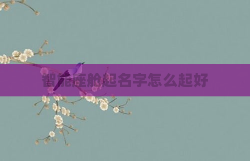 智能座舱起名字怎么起好