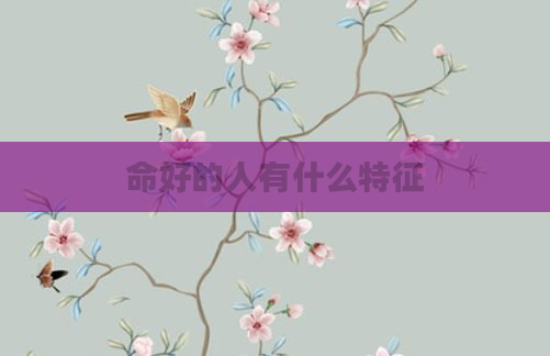 命好的人有什么特征