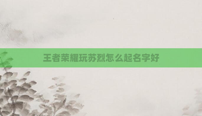 王者荣耀玩苏烈怎么起名字好