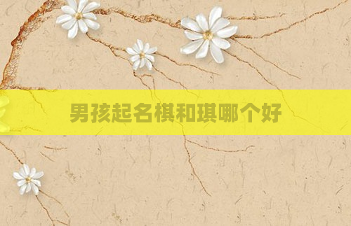 男孩起名棋和琪哪个好