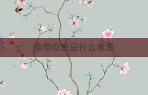 命带观音是什么意思