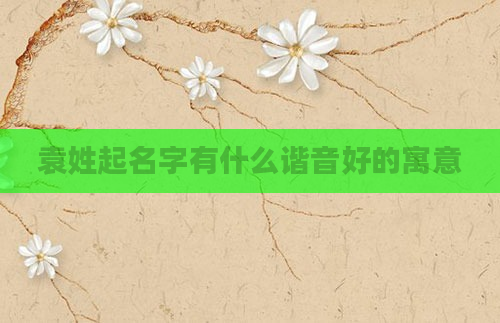 袁姓起名字有什么谐音好的寓意