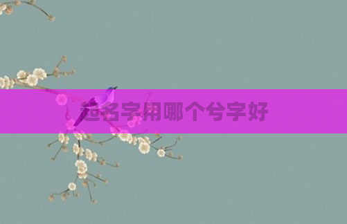 起名字用哪个兮字好