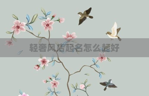 轻奢风店起名怎么起好