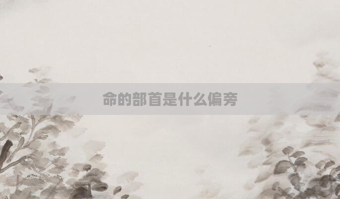 命的部首是什么偏旁