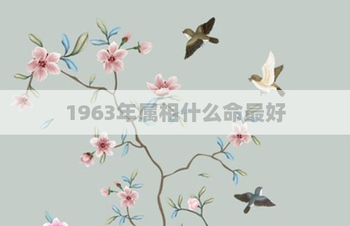 1963年属相什么命最好