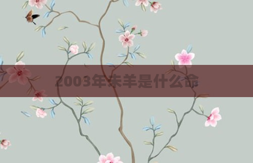 2003年未羊是什么命