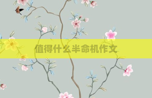 值得什么半命机作文