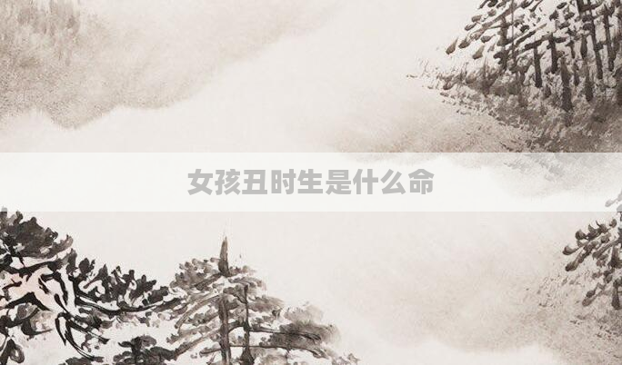 女孩丑时生是什么命