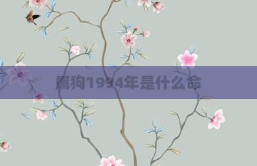 属狗1994年是什么命